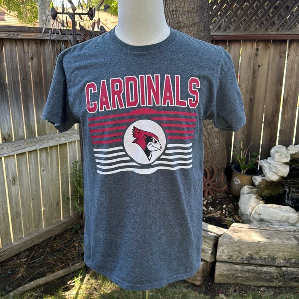 Arizona Cardinals Football Team Gildan T-Shirt Men's Size Medium